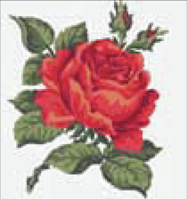 Tapestry Kit: Red Rose